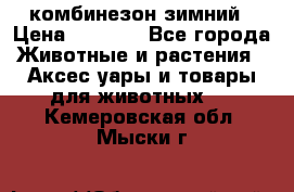 комбинезон зимний › Цена ­ 1 300 - Все города Животные и растения » Аксесcуары и товары для животных   . Кемеровская обл.,Мыски г.